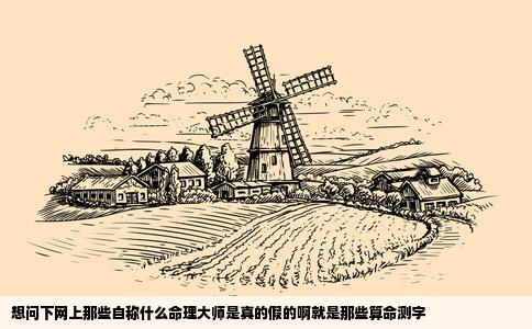 想问下网上那些自称什么命理大师是真的假的啊就是那些算命测字