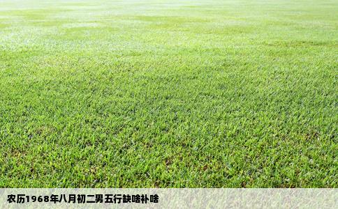 农历1968年八月初二男五行缺啥补啥