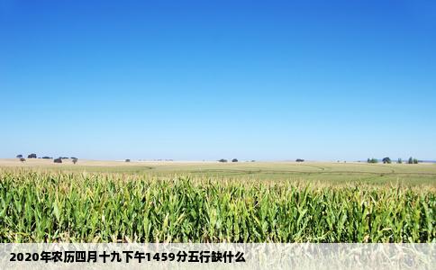 2020年农历四月十九下午1459分五行缺什么