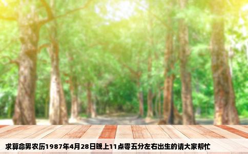 求算命男农历1987年4月28日晚上11点零五分左右出生的请大家帮忙