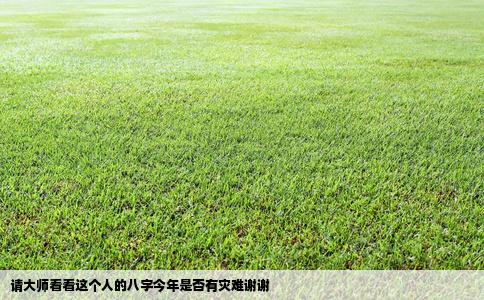 请大师看看这个人的八字今年是否有灾难谢谢