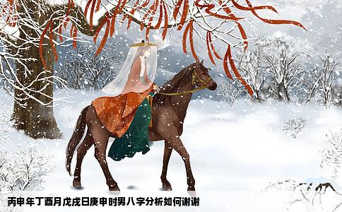 丙申年丁酉月戊戌日庚申时男八字分析如何谢谢