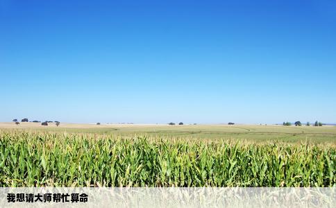 我想请大师帮忙算命