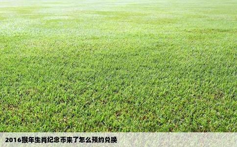 2016猴年生肖纪念币来了怎么预约兑换