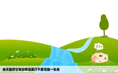 西天取经它有份就是爱打不爱骂猜一生肖