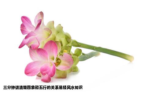 三分钟讲清楚四象和五行的关系易经风水知识