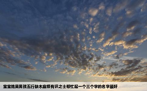 宝宝姓吴男孩五行缺木麻烦有识之士帮忙起一个三个字的名字最好