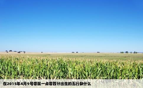 在2015年4月9号零晨一点零四分出生的五行缺什么