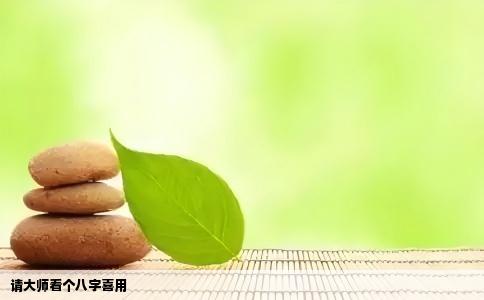 请大师看个八字喜用
