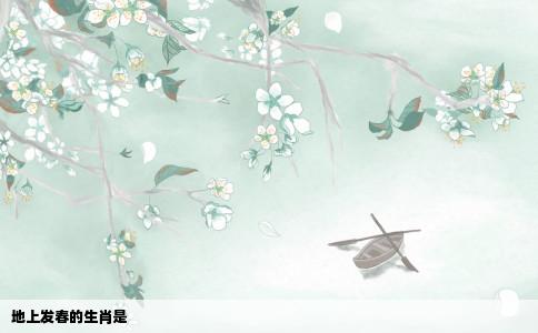 地上发春的生肖是