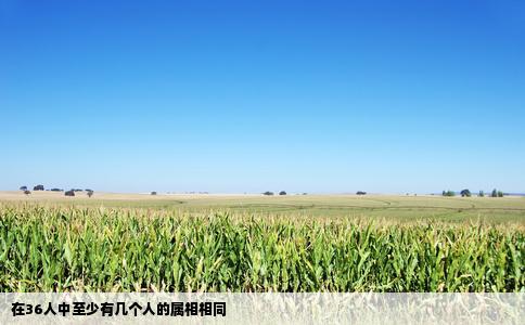 在36人中至少有几个人的属相相同