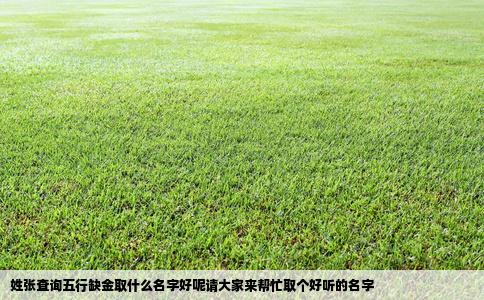 姓张查询五行缺金取什么名字好呢请大家来帮忙取个好听的名字