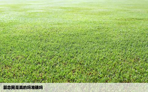 算命网是真的吗准确吗