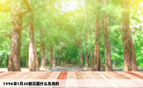 1996年1月20新历属什么生肖的