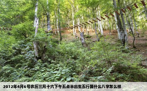 2012年4月6号农历三月十六下午五点半出生五行属什么八字怎么样
