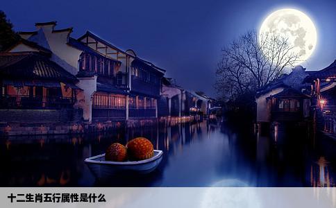 十二生肖五行属性是什么