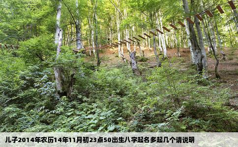 儿子2014年农历14年11月初23点50出生八字起名多起几个请说明