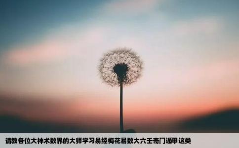 请教各位大神术数界的大师学习易经梅花易数大六壬奇门遁甲这类
