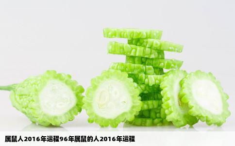 属鼠人2016年运程96年属鼠的人2016年运程