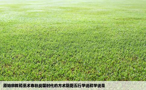 原始宗教和巫术春秋战国时代的方术阴阳五行学说和学说是