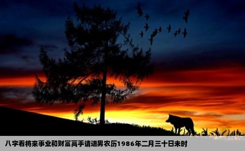 八字看将来事业和财富高手请进男农历1986年二月三十日未时