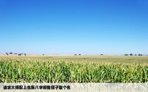 请求大师配上生辰八字帮我侄子取个名