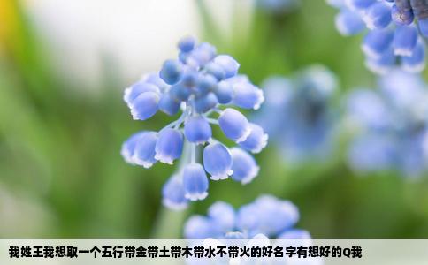 我姓王我想取一个五行带金带土带木带水不带火的好名字有想好的Q我