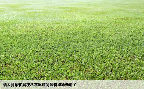 请大师帮忙解决八字配对问题有点急先谢了