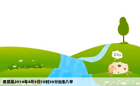 男孩是2014年4月9日10时30分出生八字