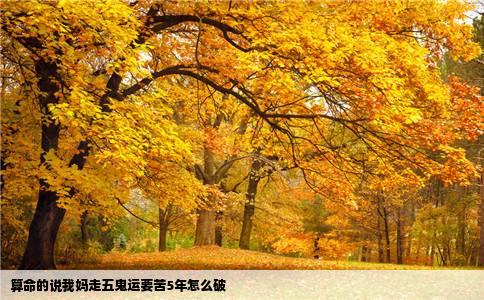 算命的说我妈走五鬼运要苦5年怎么破