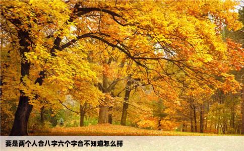 要是两个人合八字六个字合不知道怎么样