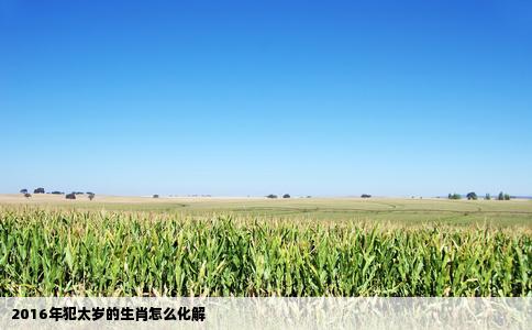 2016年犯太岁的生肖怎么化解