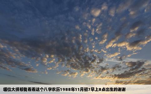 哪位大师帮我看看这个八字农历1988年11月初7早上8点出生的谢谢