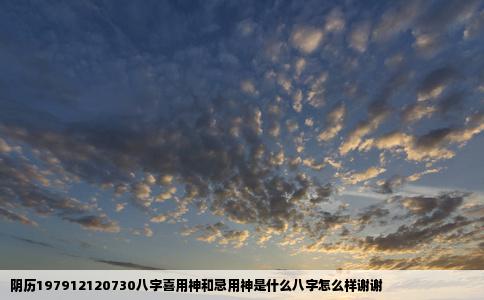 阴历197912120730八字喜用神和忌用神是什么八字怎么样谢谢
