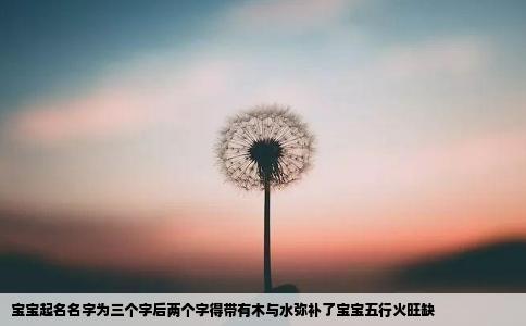 宝宝起名名字为三个字后两个字得带有木与水弥补了宝宝五行火旺缺