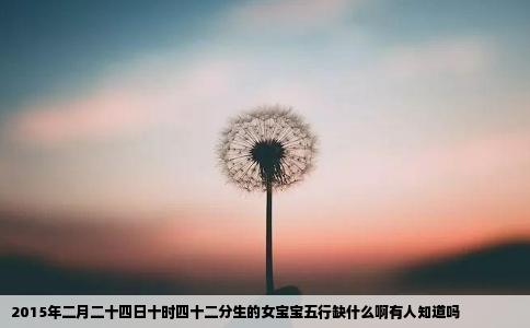 2015年二月二十四日十时四十二分生的女宝宝五行缺什么啊有人知道吗