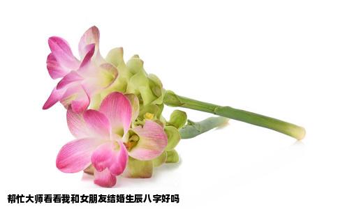 帮忙大师看看我和女朋友结婚生辰八字好吗