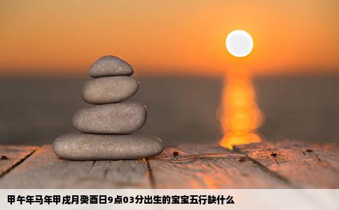 甲午年马年甲戌月癸酉日9点03分出生的宝宝五行缺什么