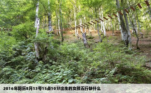 2016年阳历8月13号15点10分出生的女孩五行缺什么