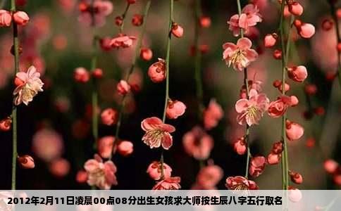 2012年2月11日凌晨00点08分出生女孩求大师按生辰八字五行取名