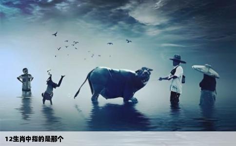 12生肖中指的是那个