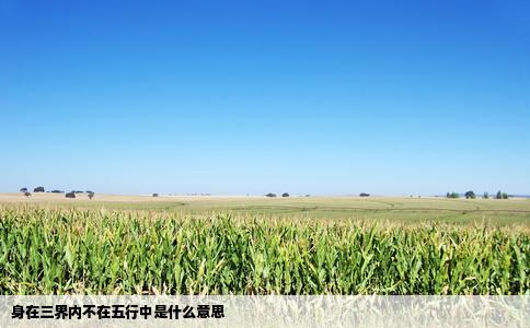 身在三界内不在五行中是什么意思