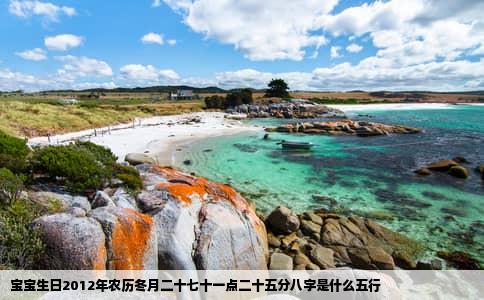 宝宝生日2012年农历冬月二十七十一点二十五分八字是什么五行