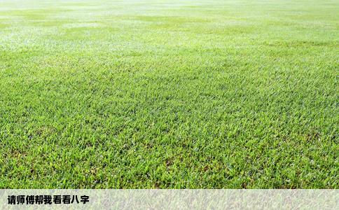 请师傅帮我看看八字