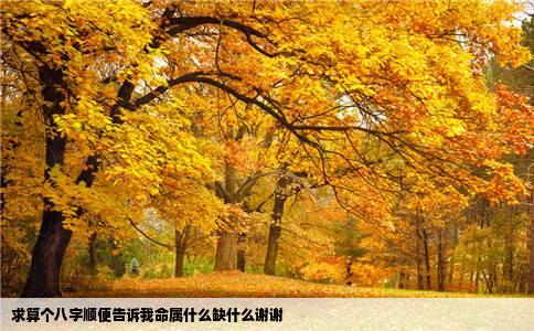 求算个八字顺便告诉我命属什么缺什么谢谢