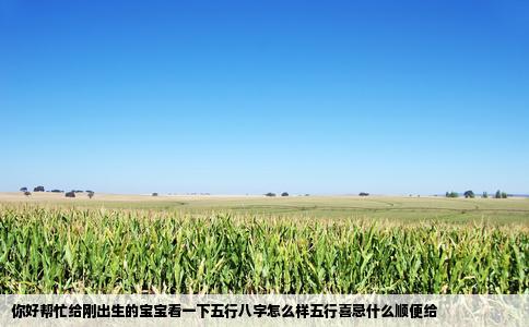 你好帮忙给刚出生的宝宝看一下五行八字怎么样五行喜忌什么顺便给