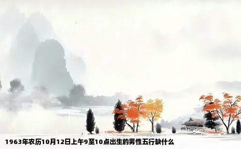 1963年农历10月12日上午9至10点出生的男性五行缺什么