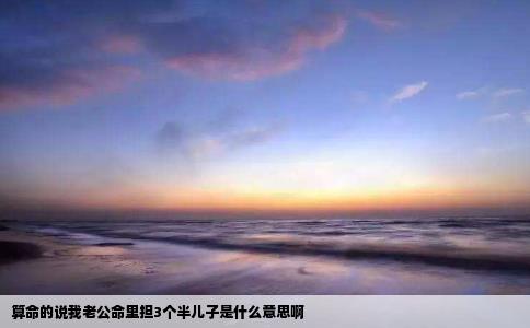 算命的说我老公命里担3个半儿子是什么意思啊
