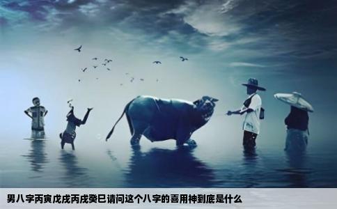 男八字丙寅戊戌丙戌癸巳请问这个八字的喜用神到底是什么
