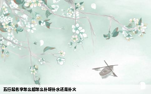 五行起名字怎么却怎么补呀补水还是补火